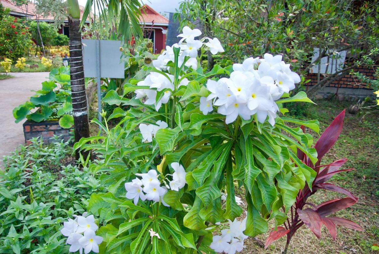 Phoumrumduol Bungalow Kampot Ngoại thất bức ảnh